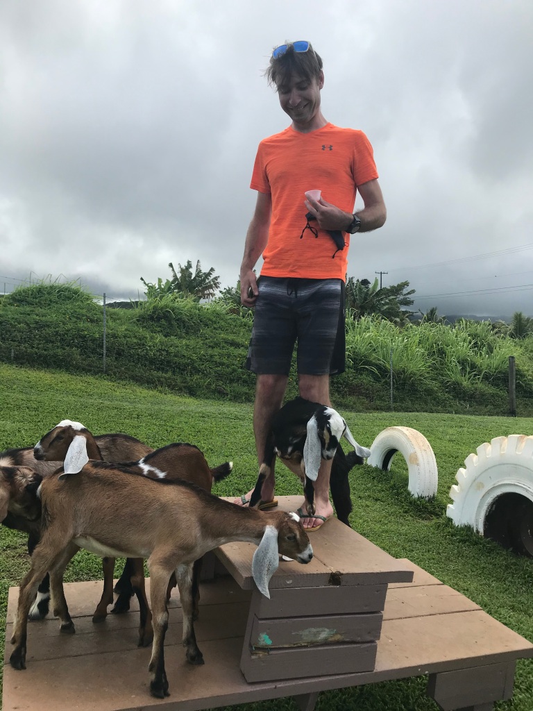 Honomu Goat Dairy